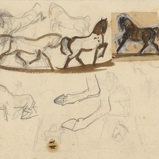 Unbekannt Pferde Studie