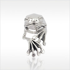 Frosch ring froschkönig - frosch,