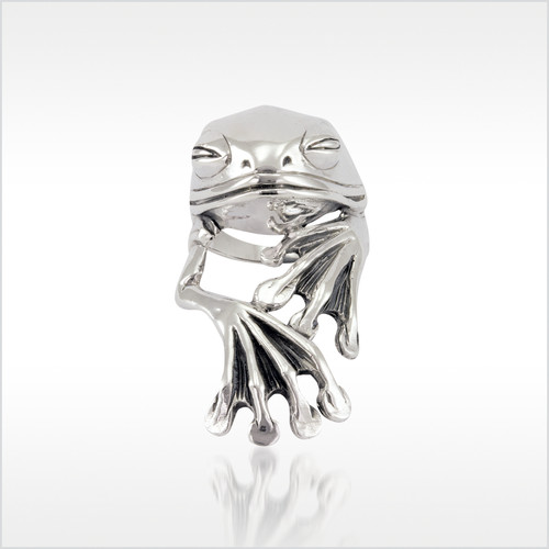 Frosch ring froschkönig - frosch,