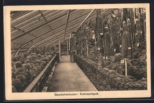Berlin-Dahlem, Botanischer Garten, Kakteenhaus, Ansichtskarte 