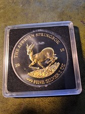 African Springbok, Gabun 2018