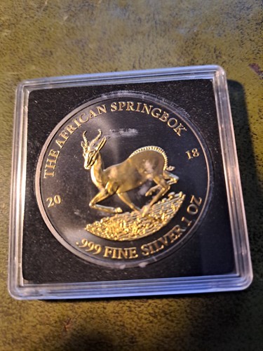 African springbok gabun - african, 2018
