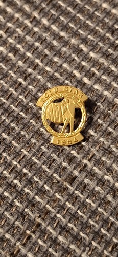Goldene ehrennadel gold star - goldene,