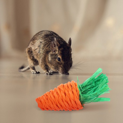 Stücke straw hamster - stücke,