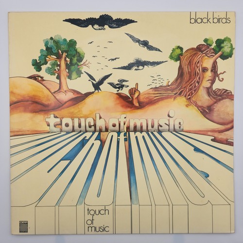 Blackbirds touch of - –, music