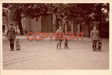 1925 Foto Magdeburg Polizeihundeführer Schäferhunde Polizei Rarität Bizarre