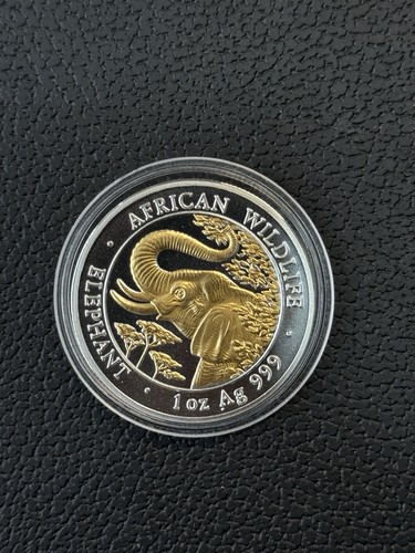 Somalia 100 shillings elefant - 100,