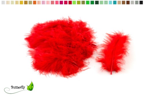 Marabufedern 10cm - 20,