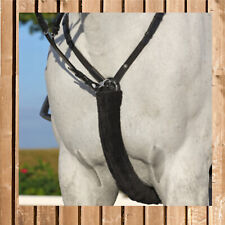 Vorderzeug Schutz, Martingal