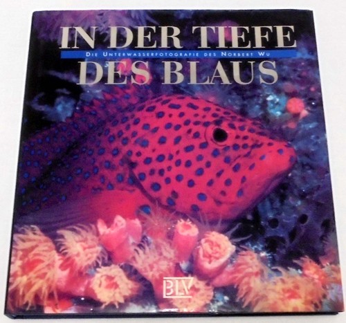 Der tiefe des blaus - des, die