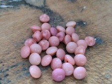 ♥Nr.2-Alte Glasknöpfe Puppenknöpfe Kugelknöpfe 14 Stück rosa 8 mm♥