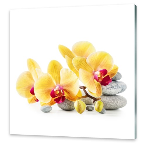 Acrylglasbilder wandbild aus - acrylglasbilder,