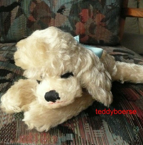 Alter steiff hund pudel floppy - pudel,