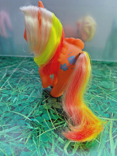 Little pony tropical - my,