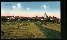 Schildau, Panorama des Ortes, mit Erntewagen, Ansichtskarte 1925 