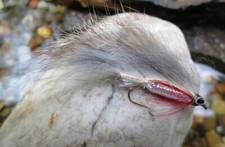 Gilchrist Fliegen. 3 x ZONKER