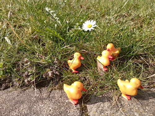 Enten figuren ergee sehr - ergee,