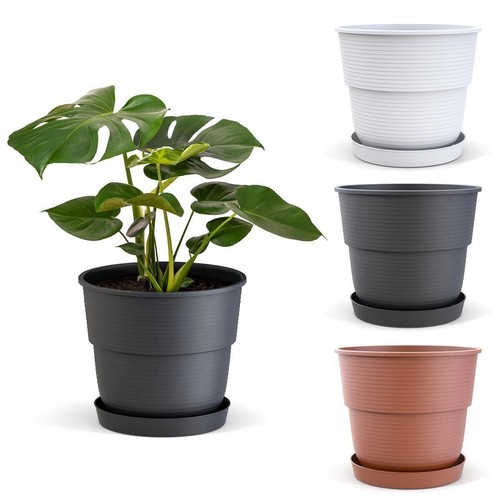 Blumentopf mit untersetzer - blumentopf,