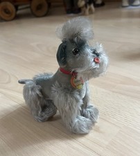 Sehr Schöner Steiff Hund Pudel Snobby