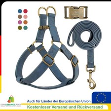 Hundegeschirr & Leine aus
