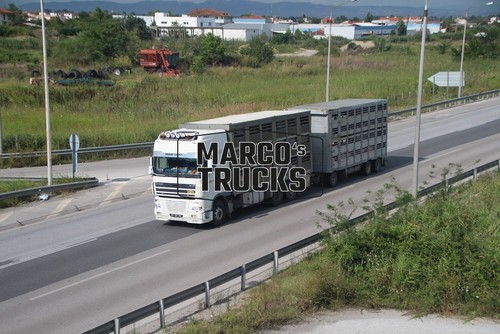 Lkw foto daf xf - daf, 95
