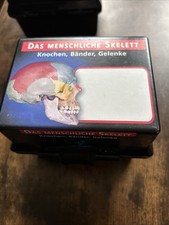 Anatomie Das Menschliche