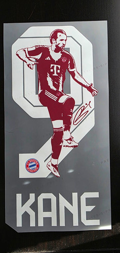 Bayern münchen kane - münchen, flock