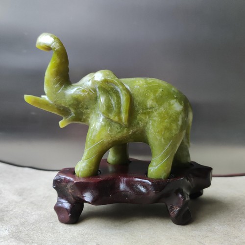 Asiatischer elefant - asiatischer,