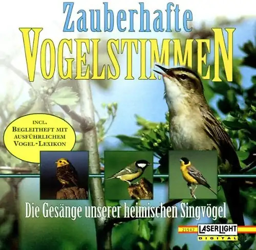 Natur vogelstimmen - vogelstimmen,