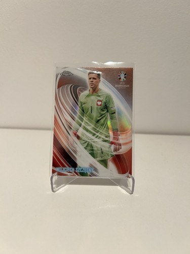 Wojciech szczesny polen - wojciech,
