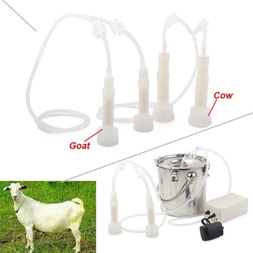 Doppelköpfe elektrische - 5l,