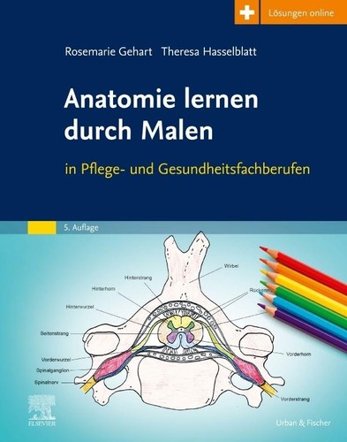 Anatomie lernen durch malen - anatomie,