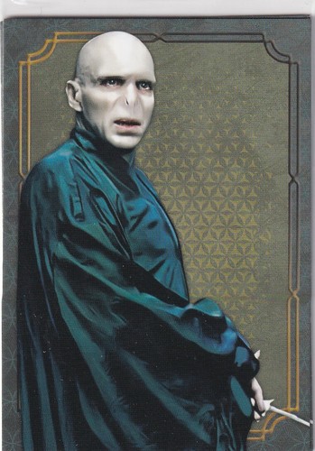 Panini harry potter evolution - panini,