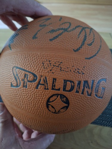 Alba berlin basketball - alba,