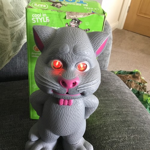 Recording talking tom - ai,