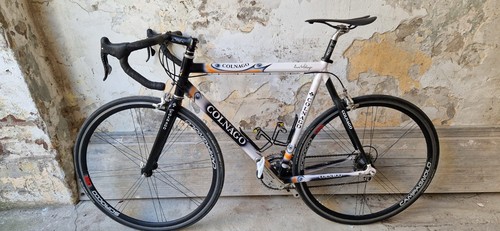 Colnago active alu - colnago, rh