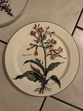 Villeroy Boch Botanica