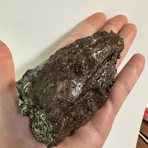 Aletai eisenmeteorit scheiben - eisenmeteorit,