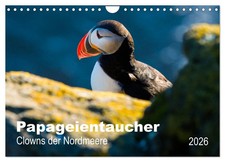 PAPAGEIENTAUCHER - Clowns der