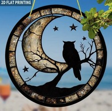 2D Sonnenfänger Acryl Eule