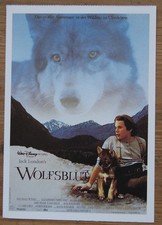 Filmplakatkarte / moviepostercard  Wolfsblut  K.M.Brandauer, E.Hawke