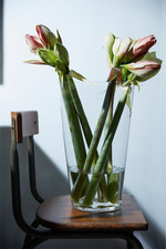 Dekoglas, Vase CONICAL konisch