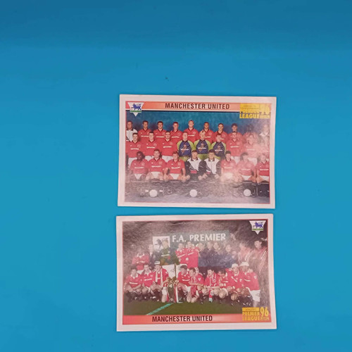 Merlin 1996 premier league - 1996,