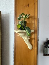 Regal – Austernpilz (Oyster Fungus) – Wandregal aus dem 3D-Drucker