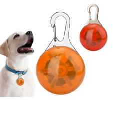 Hundeleuchtanhänger