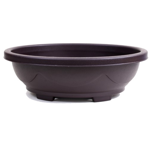 Bonsai schale oval - -, 33