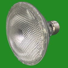 2x 75W Zerstreut PAR30 Halogen