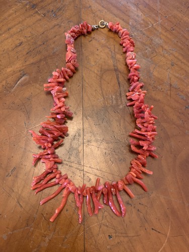 Natur rote korallen - natur,