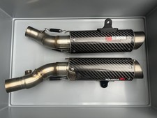 Scorpion red power - scorpion, carbon