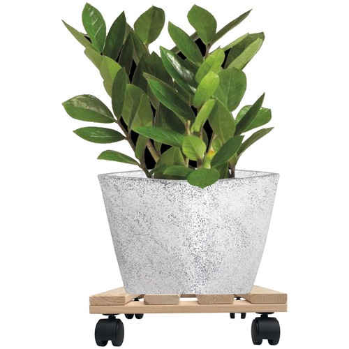 Pflanzenroller eckig 30cm - 3x,